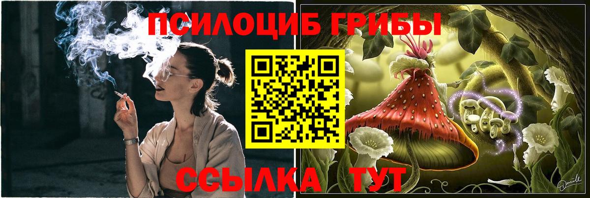Псилоцибиновые грибы Magic Shrooms Советский